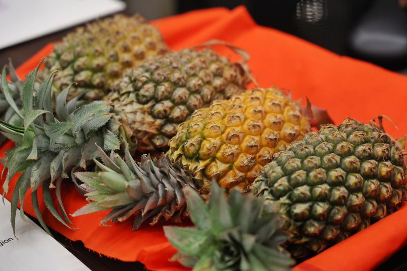Tripura Launches 'Mission Queen Pineapple' with ₹236 Crore Outlay